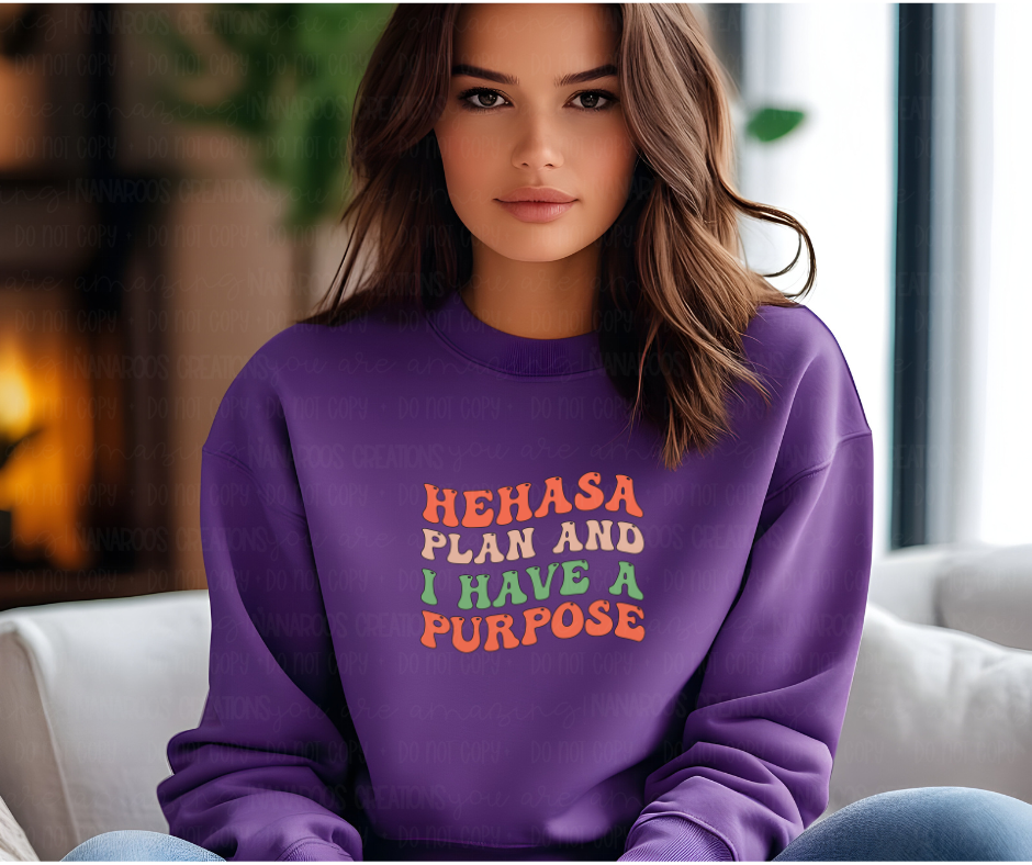 He Has A Plan Sweatshirt