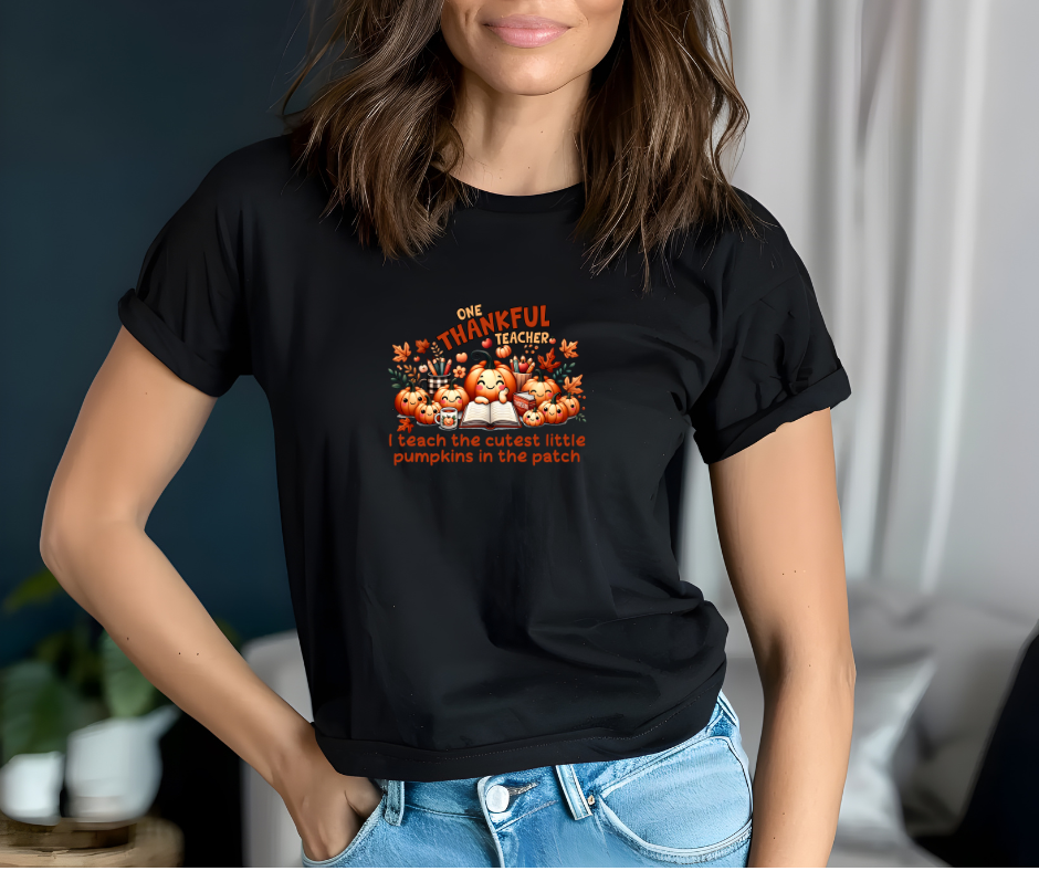 One Thankful Teacher T-Shirt