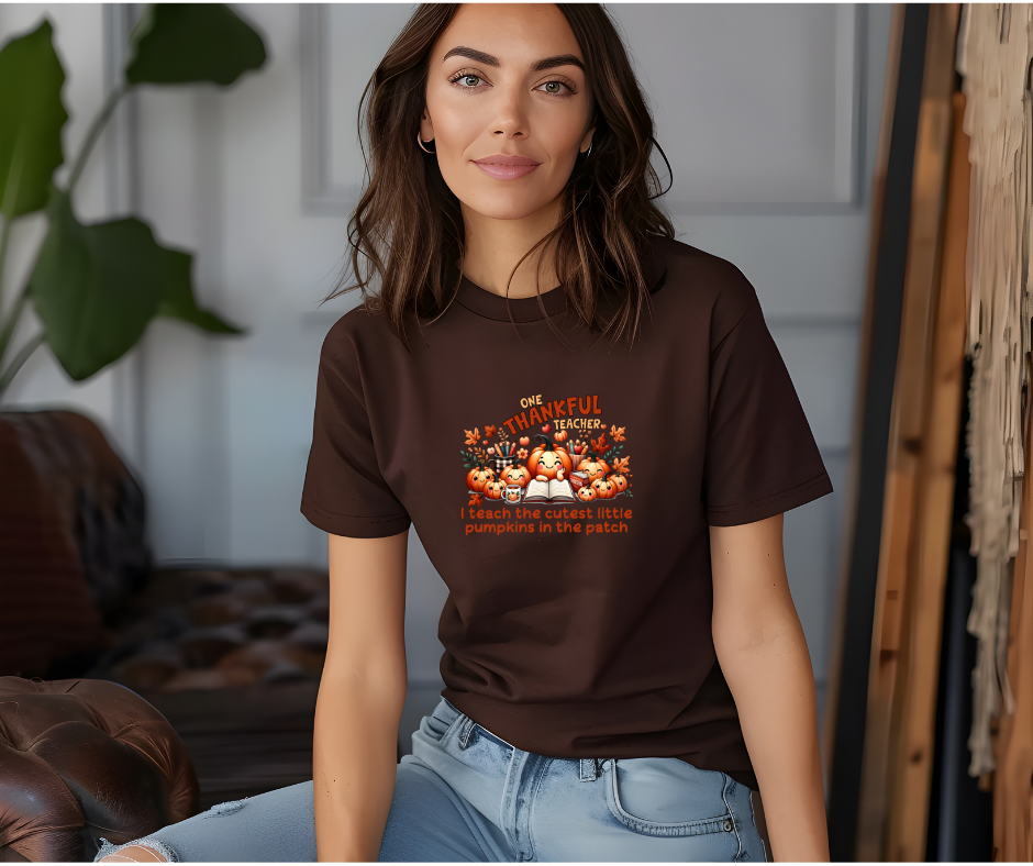One Thankful Teacher T-Shirt